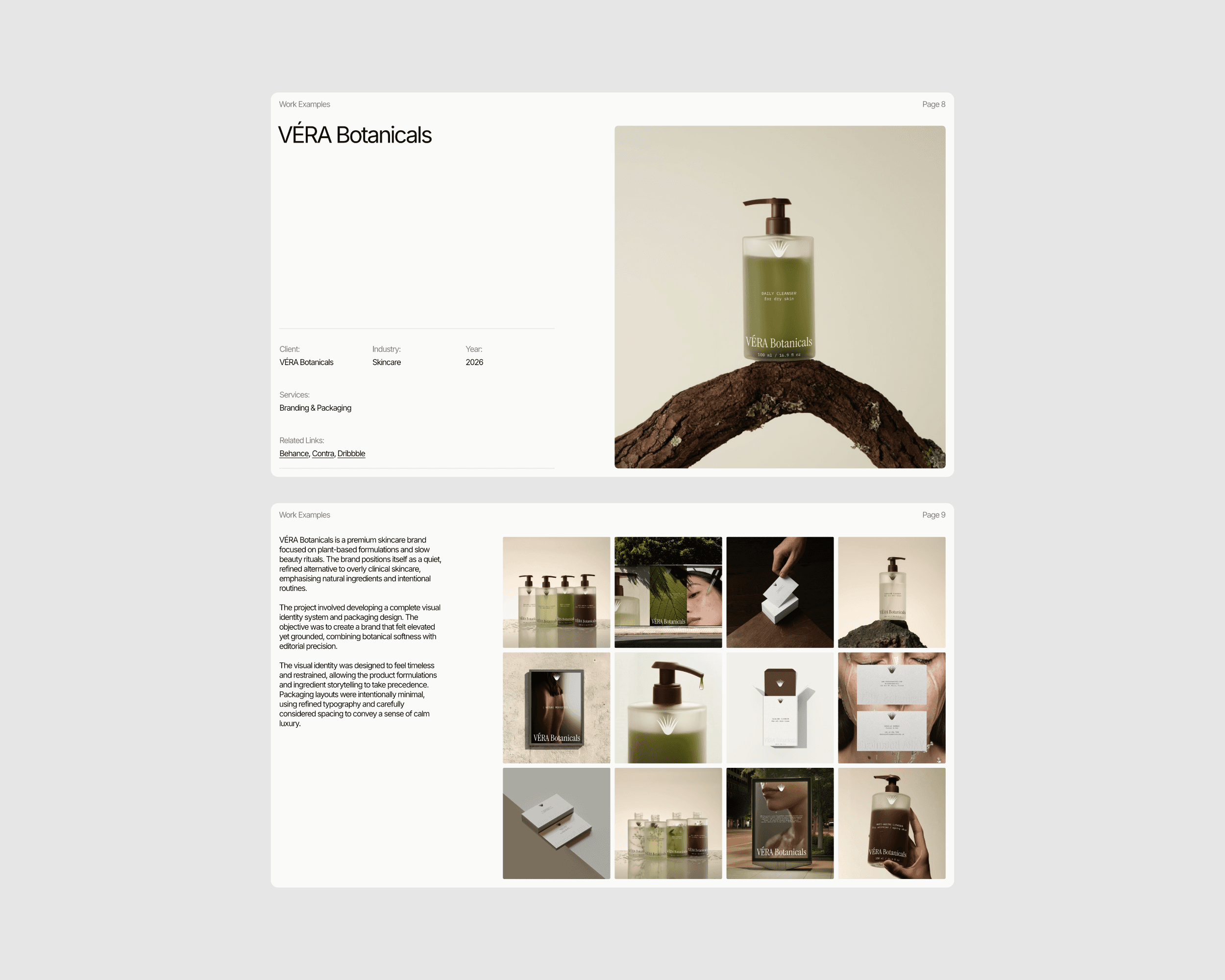 Slides from a project proposal presentation. The presentation features a simple, minimalist design.