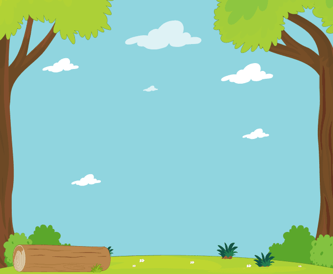 Bg Image