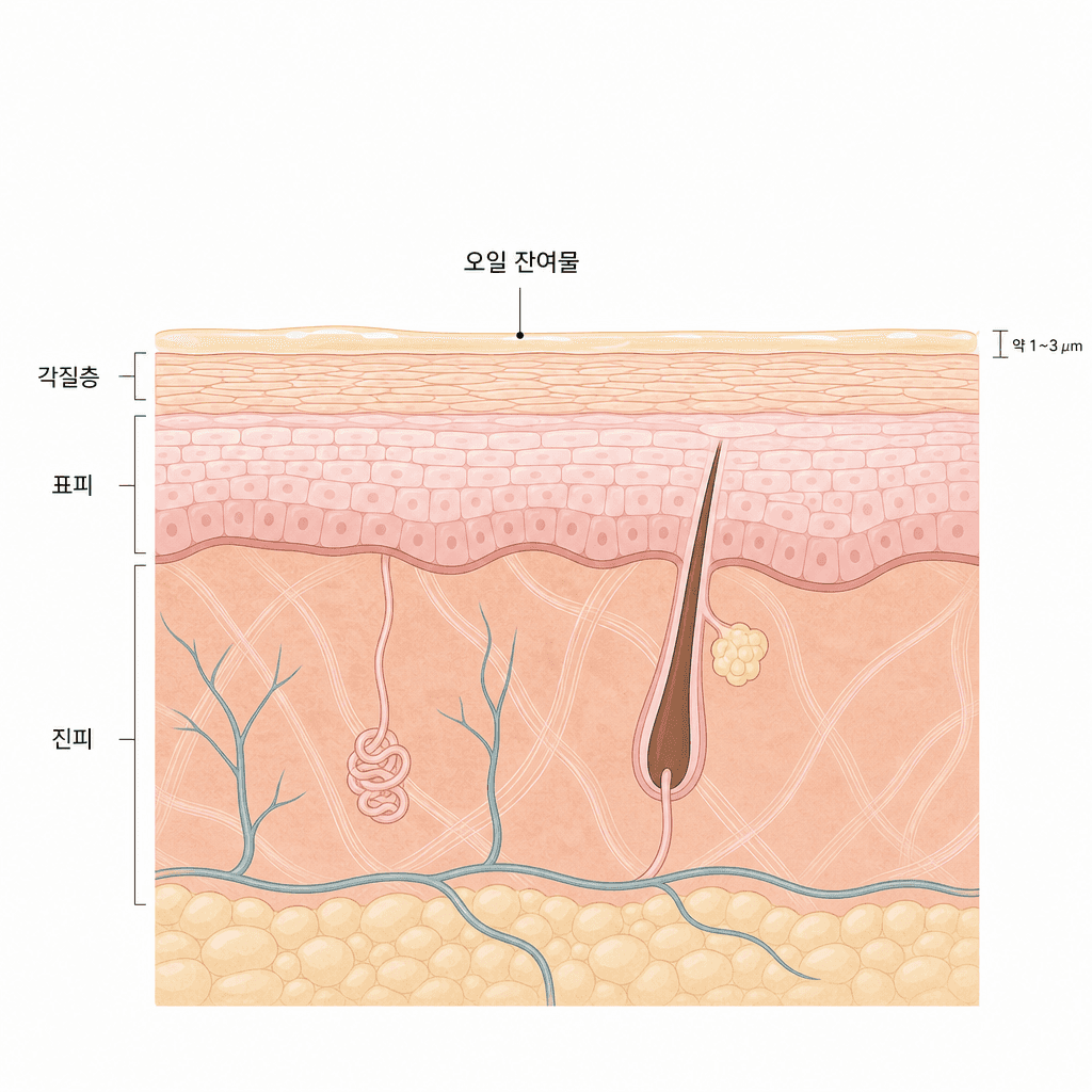 피부 표면의 오일 잔여물과 피부층 구조