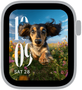 Wildflower Dogs Apple Watch face — playful dog gift pick for pet lovers
