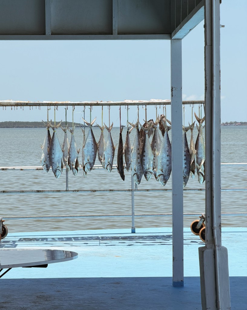 A row of freshly caught fish hanging on a rack aboard a boat, with a calm sea in the background and a blue floor visible.