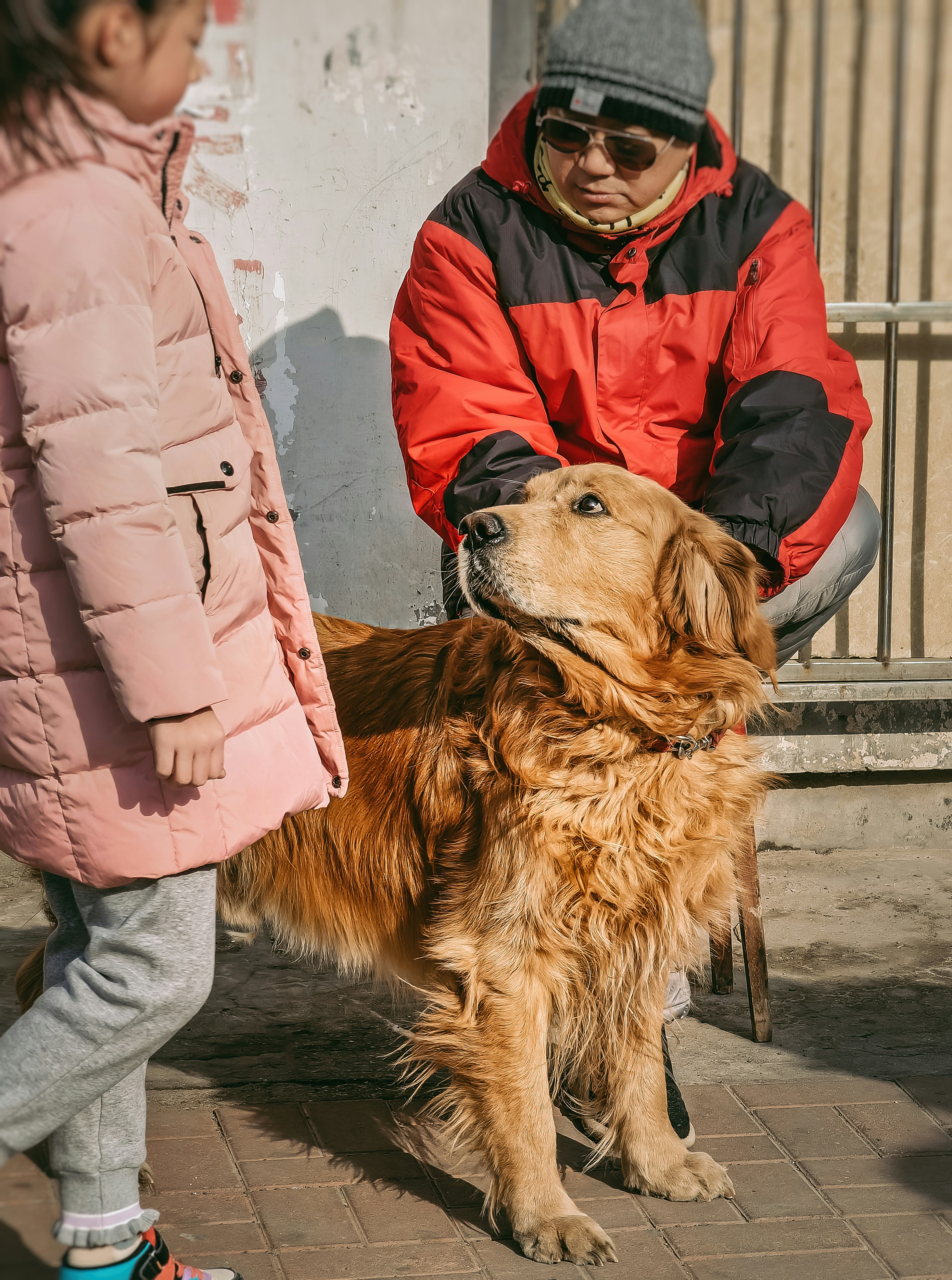 personalized anxiety management for dogs at home