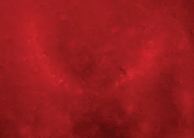 Metallic Color Samples - Russet