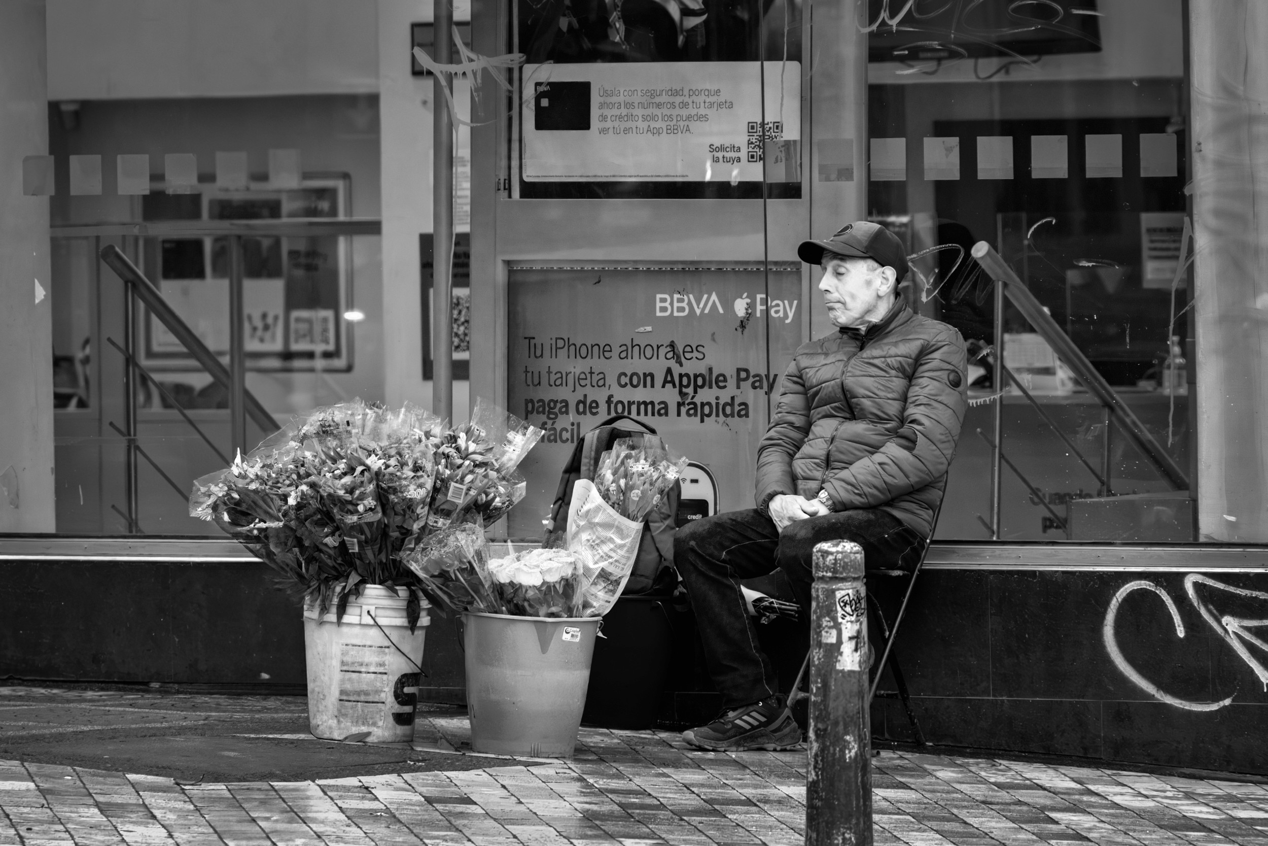 An elderly man sits quietly beside buckets of roses on a city sidewalk, framed by the reflection of a glass storefront and BBVA signage in Bogotá.
