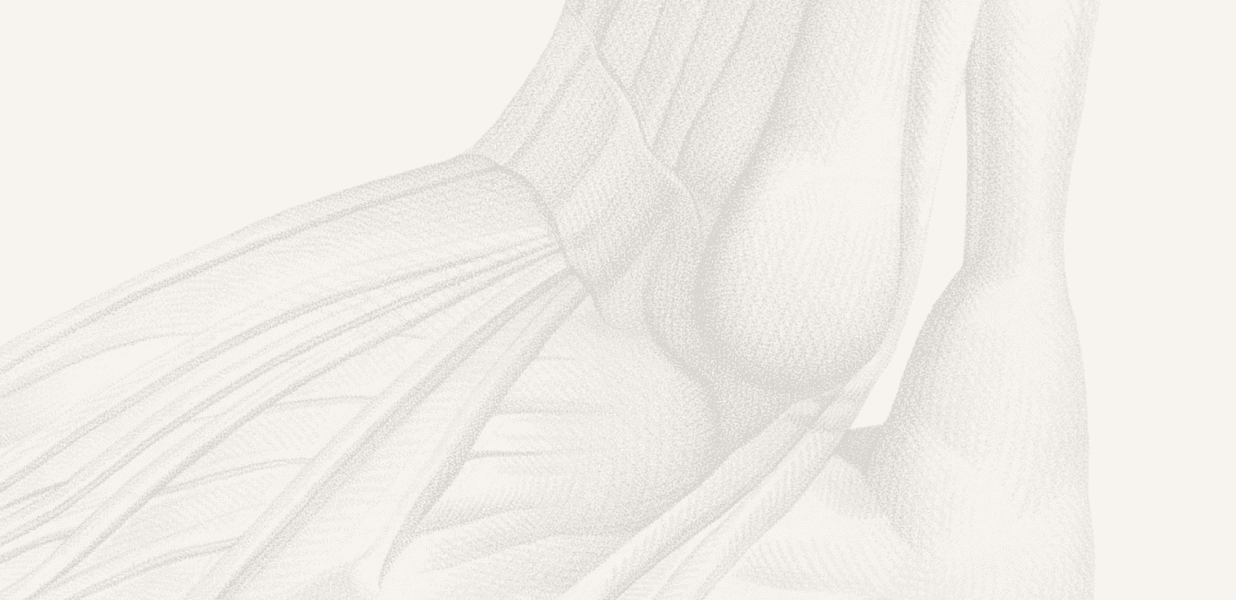 Pathologies de la cheville