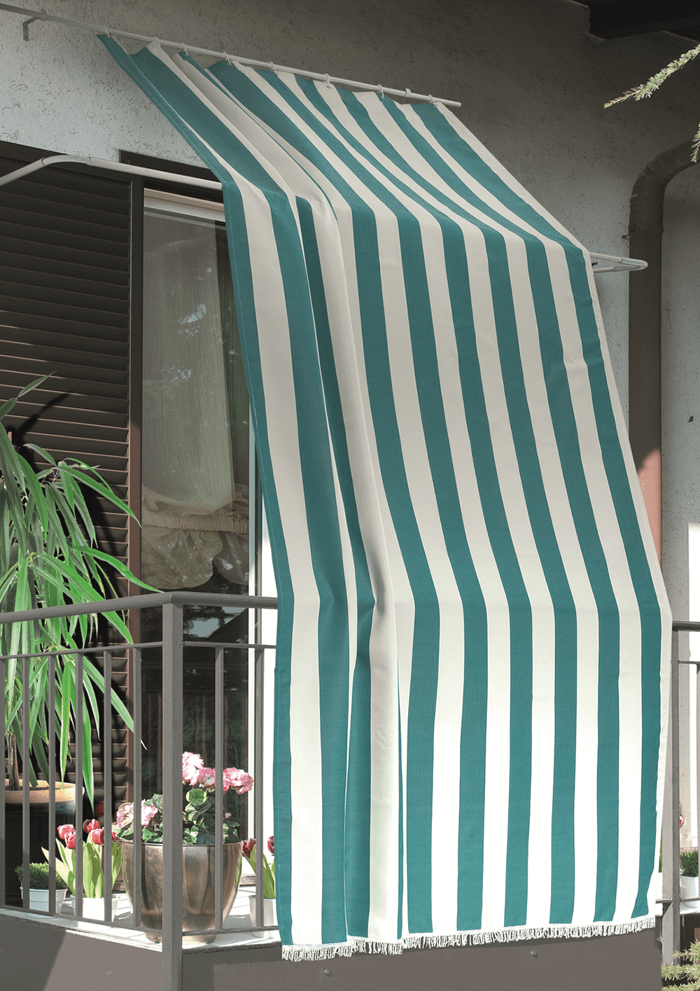 Cargo-import-tende-da-sole