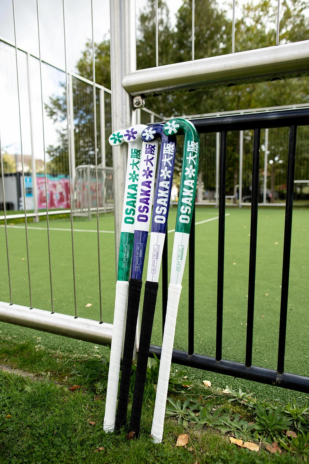 Large Project Gallery Image #1