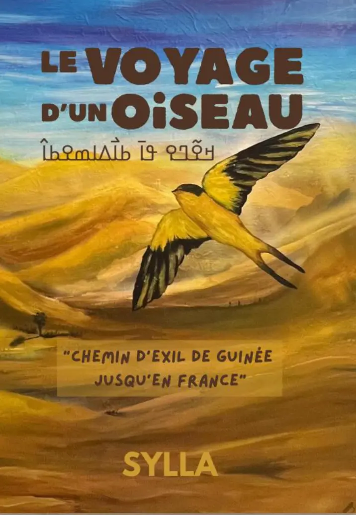 vol d'un oiseau par sylla karamoko
