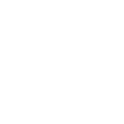 download icon