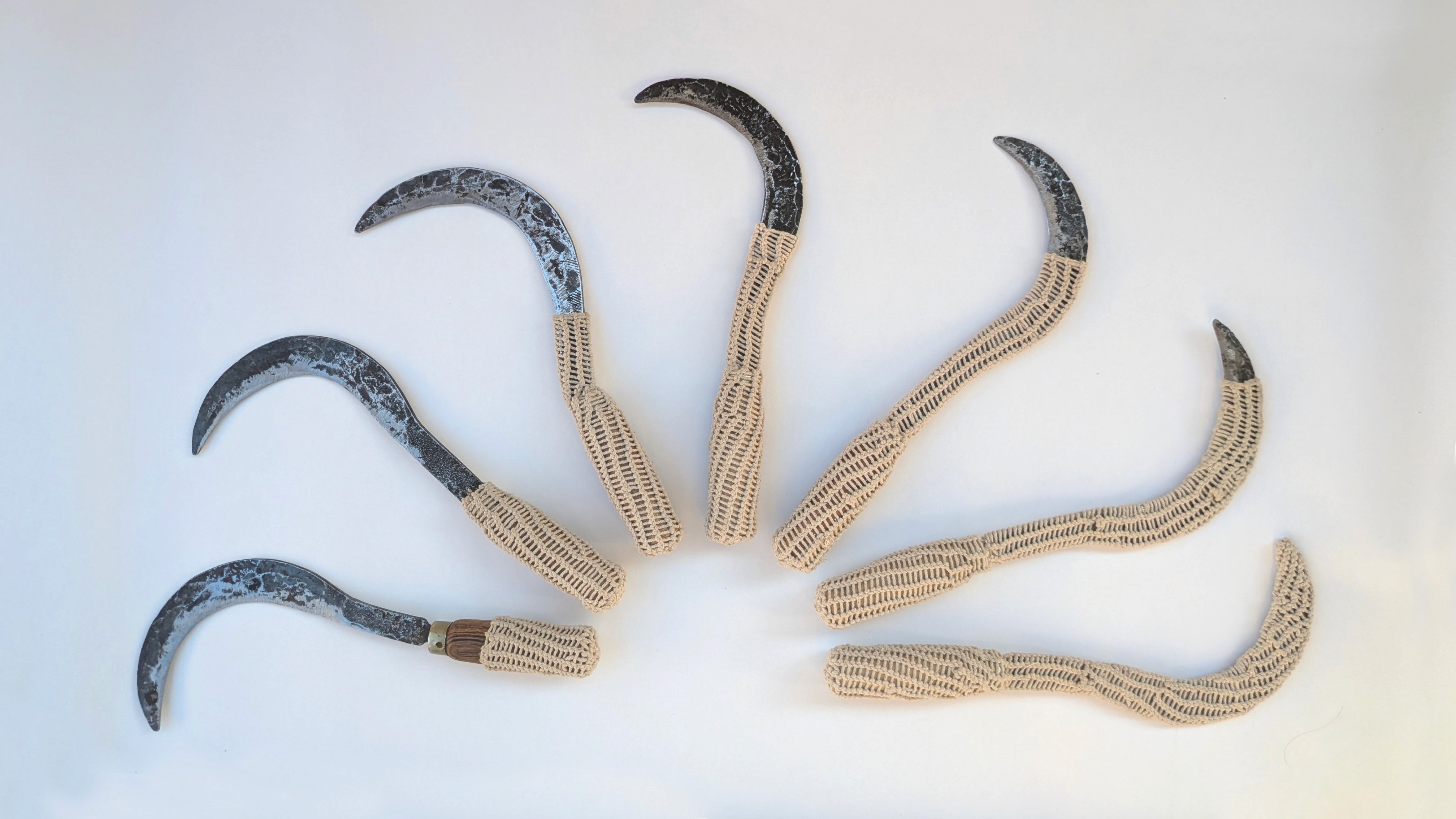 herd of sheep on road painting