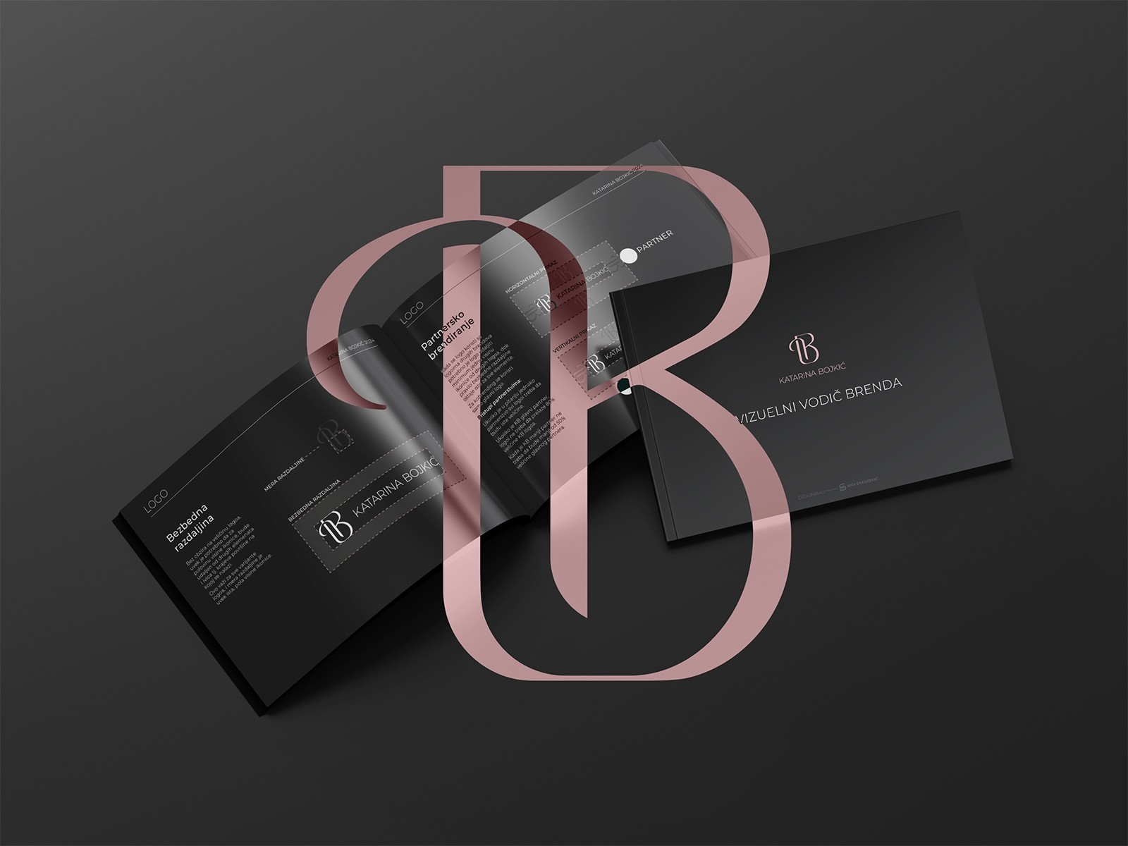 Logo overlaying brand guide