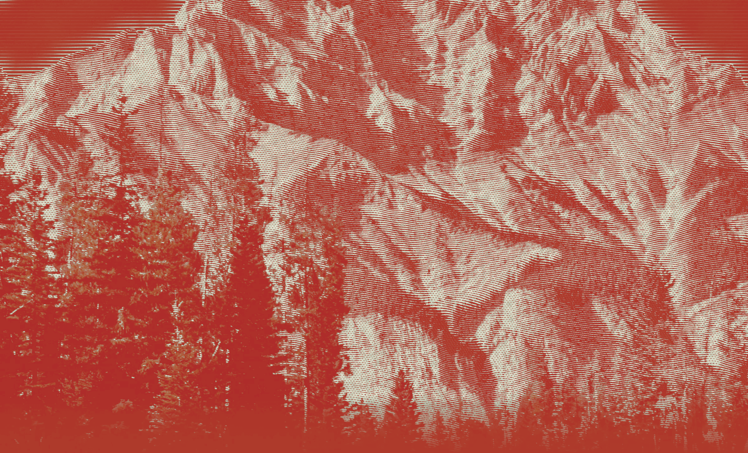 Engraved mountain slopes in cream lines on deep green above a band of real spruce trees