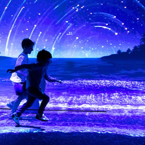 PENGALAMAN BIOLUMINESCENT