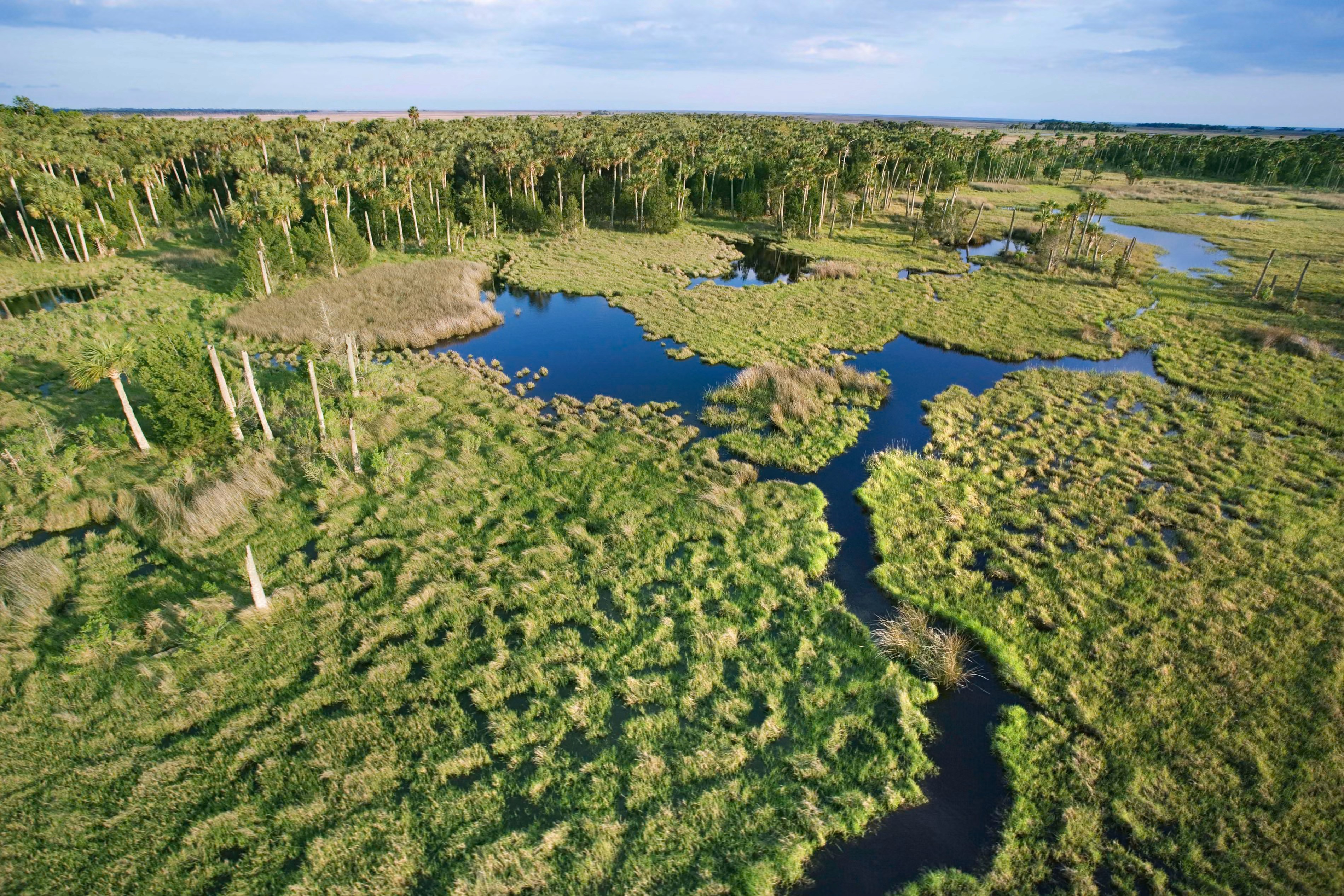 Close-up of a modern industrial building facade with sleek solar-ready panels.