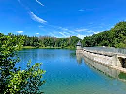 baumpflege Remscheid 