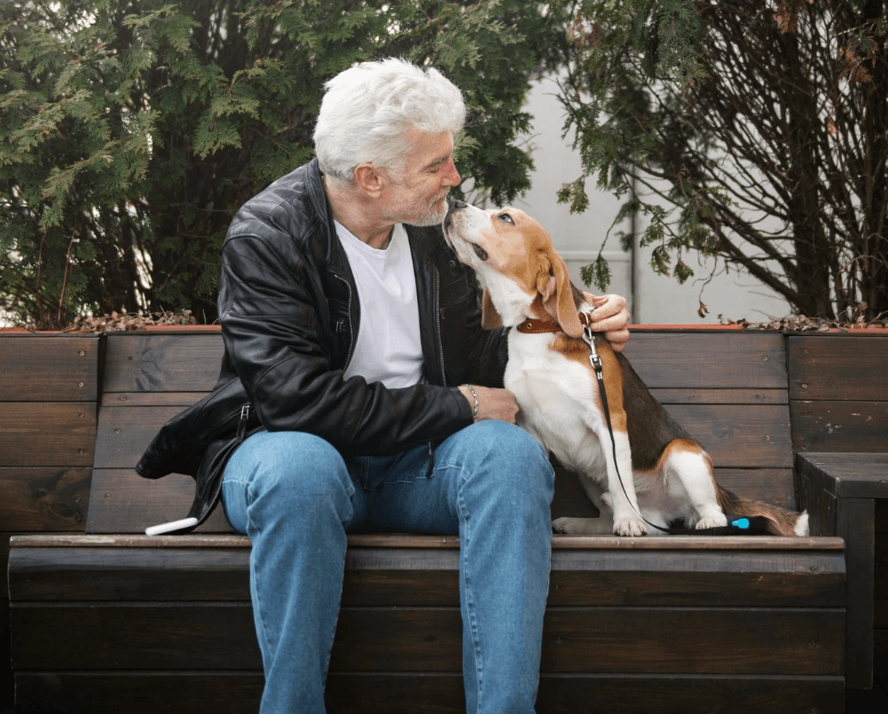 an elderly dog