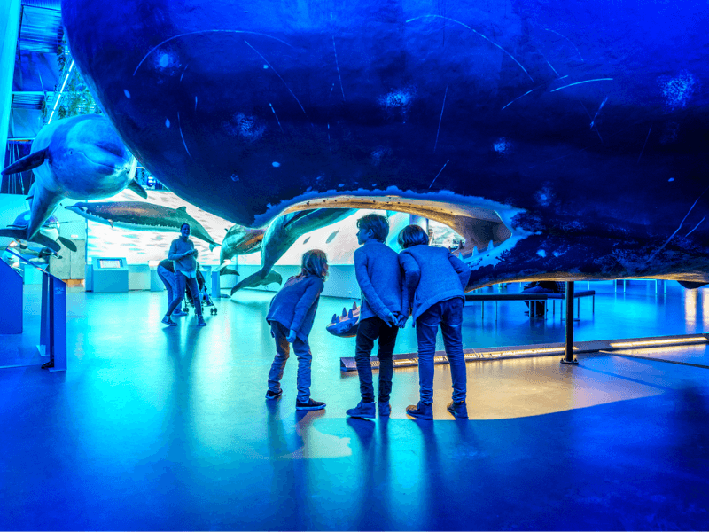 A close-up of two smiling audience members seated at the Lava Show, illuminated by the warm, orange glow of molten lava. Both guests are wearing protective glasses and appear captivated by the spectacle in front of them. The cozy, dark theater setting and the soft lighting create an engaging and intimate atmosphere. One guest holds a drink, adding to the relaxed and enjoyable experience.