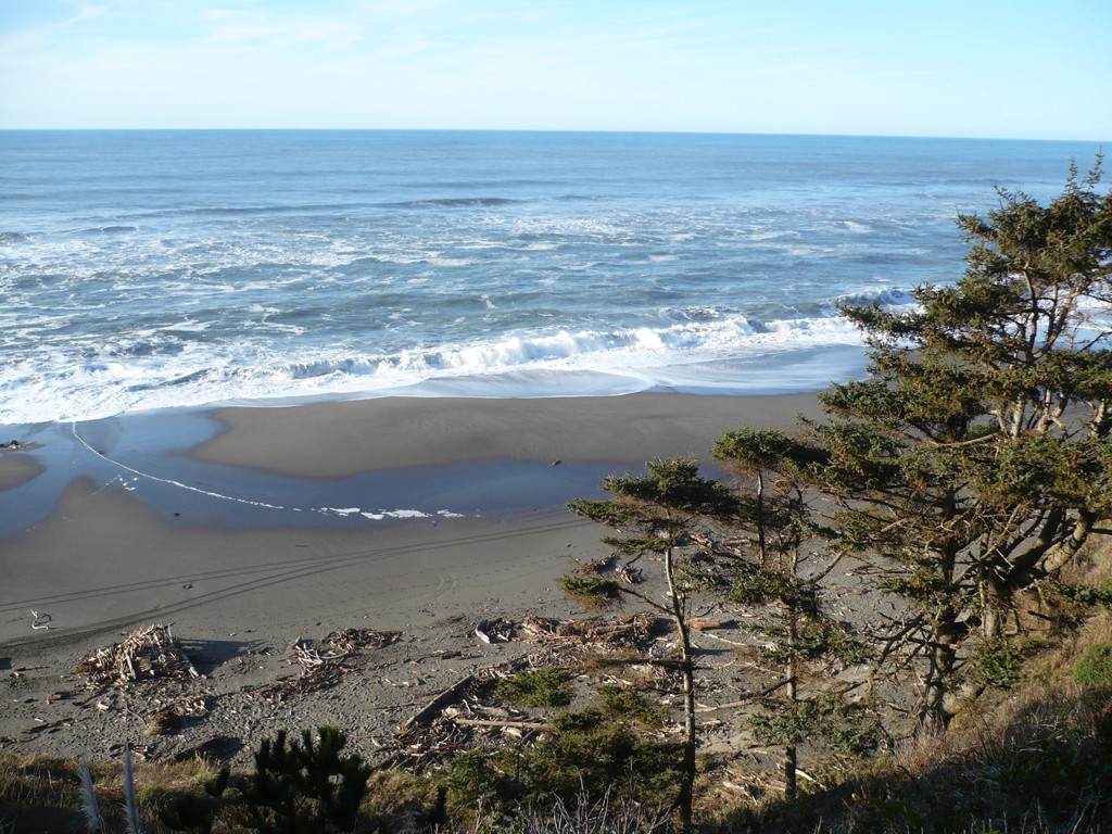 Centerville Beach and the Pacific Ocean viewed from the cliff above.