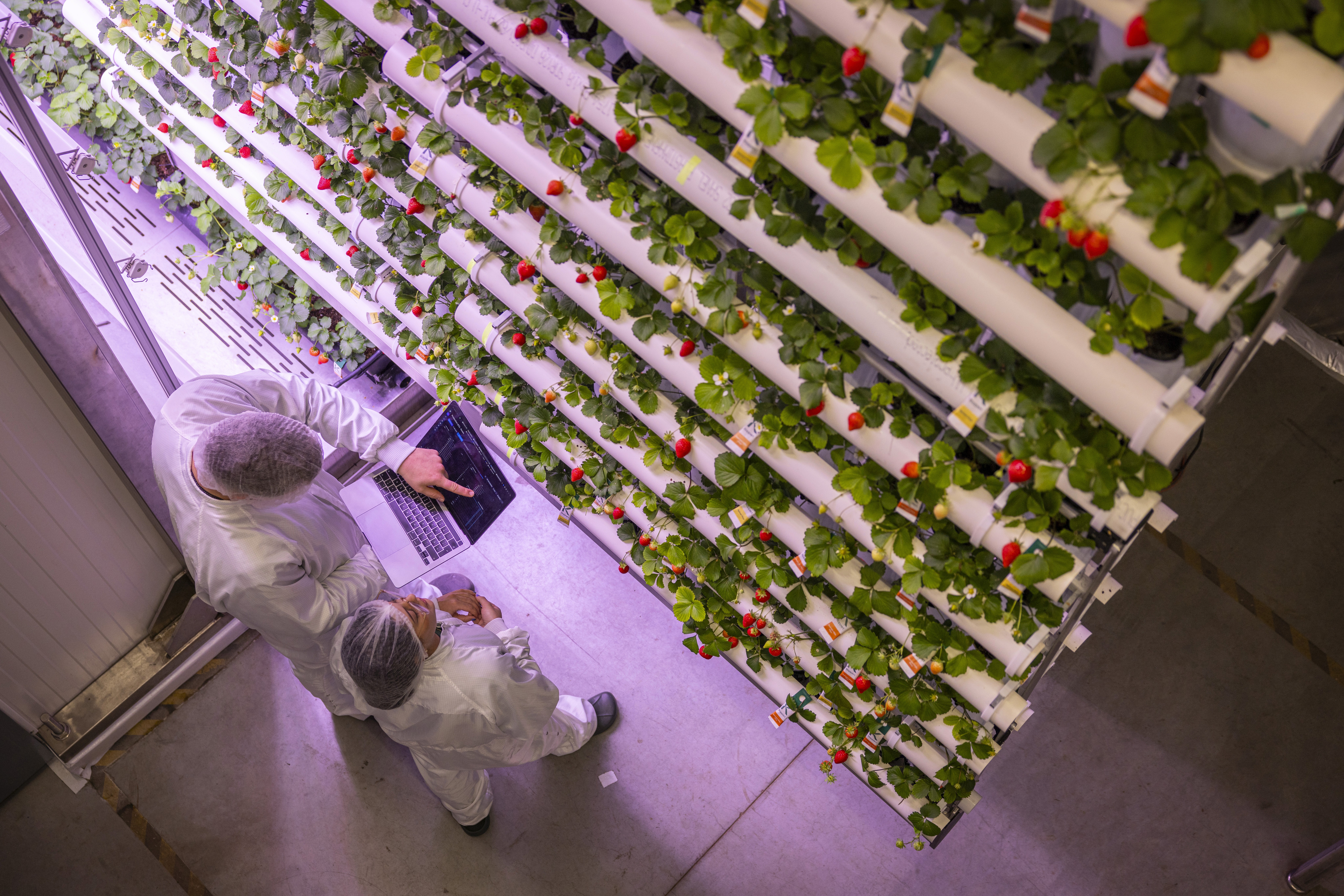 Historic brick building in Essen housing vGreens team
