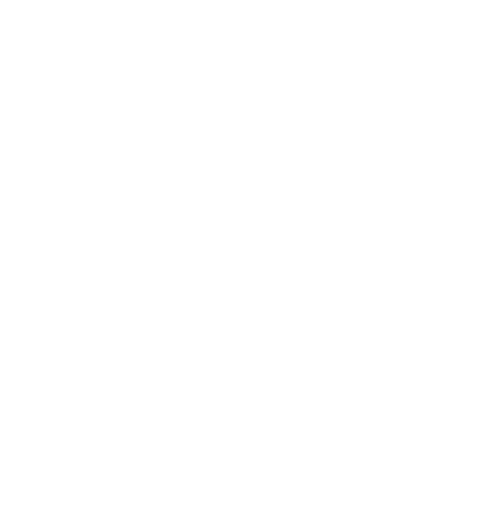Social Icon