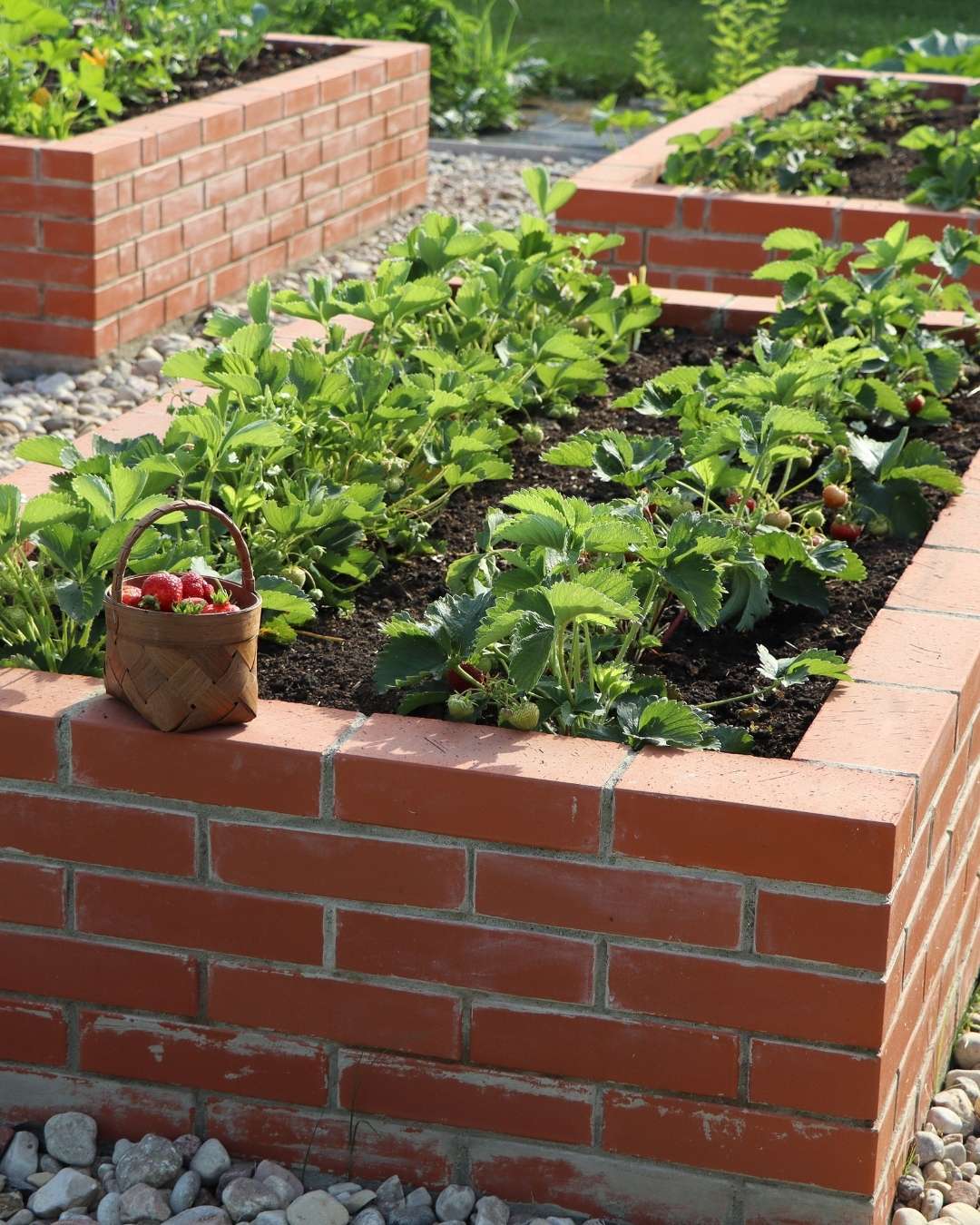 Garden Bed Services