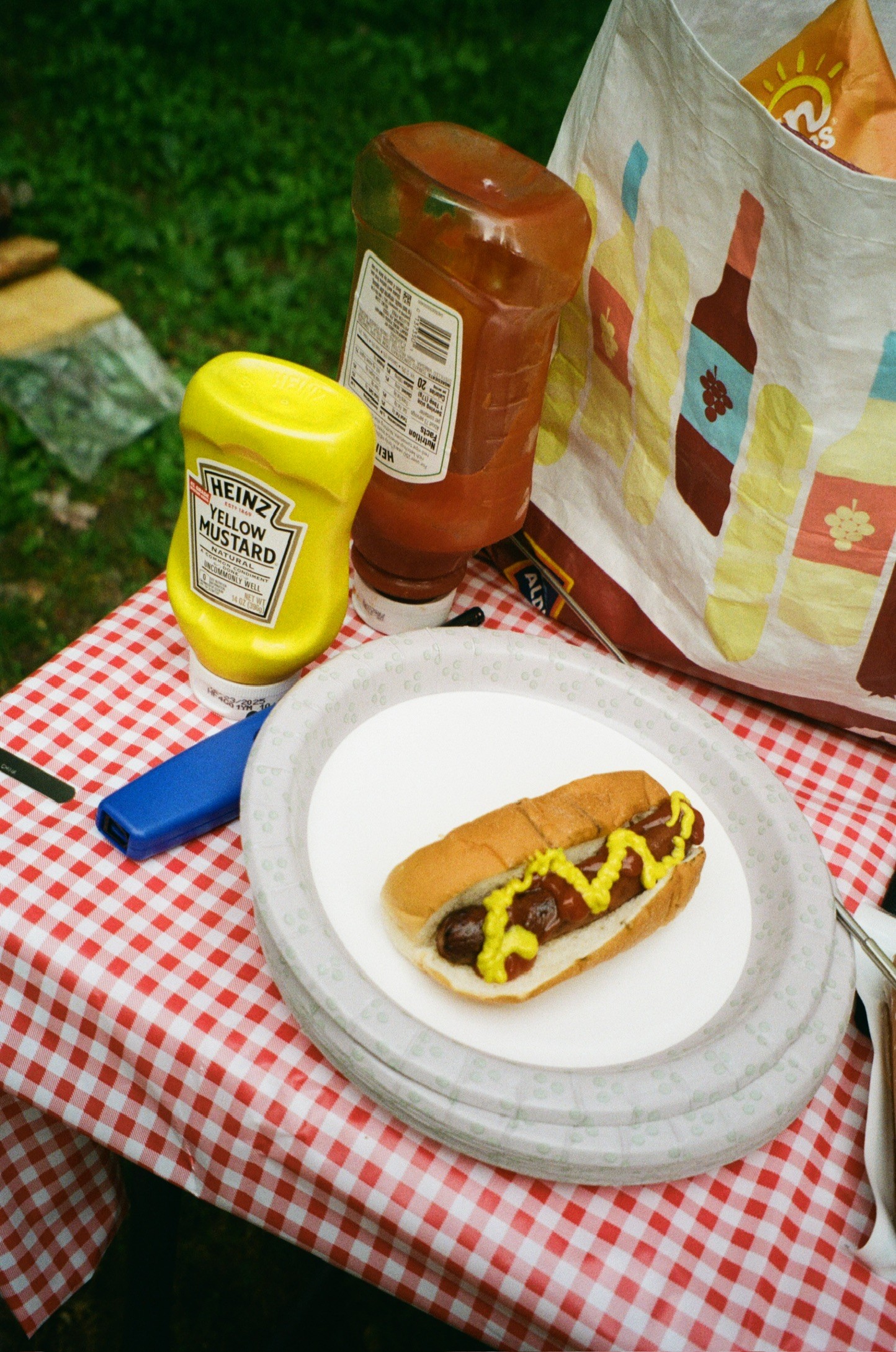 Hot dog with mustard on a red checkered tablecloth