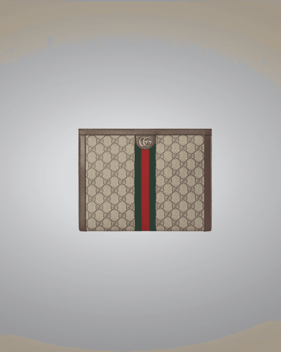 Gucci pouch