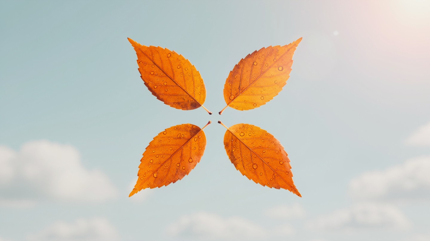 Four orange leaves, each with dew droplets, are symmetrically arranged in a star shape against a soft blue sky with fluffy clouds and warm sunlight.