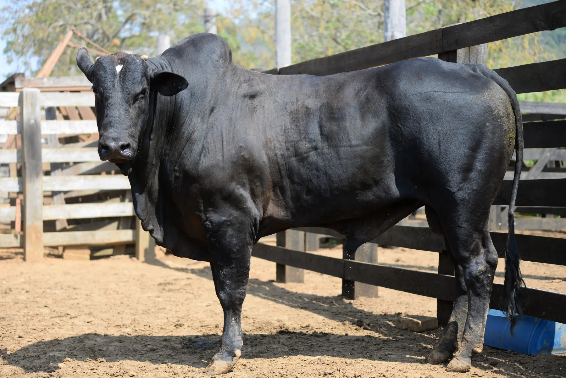 worker on laboratorium