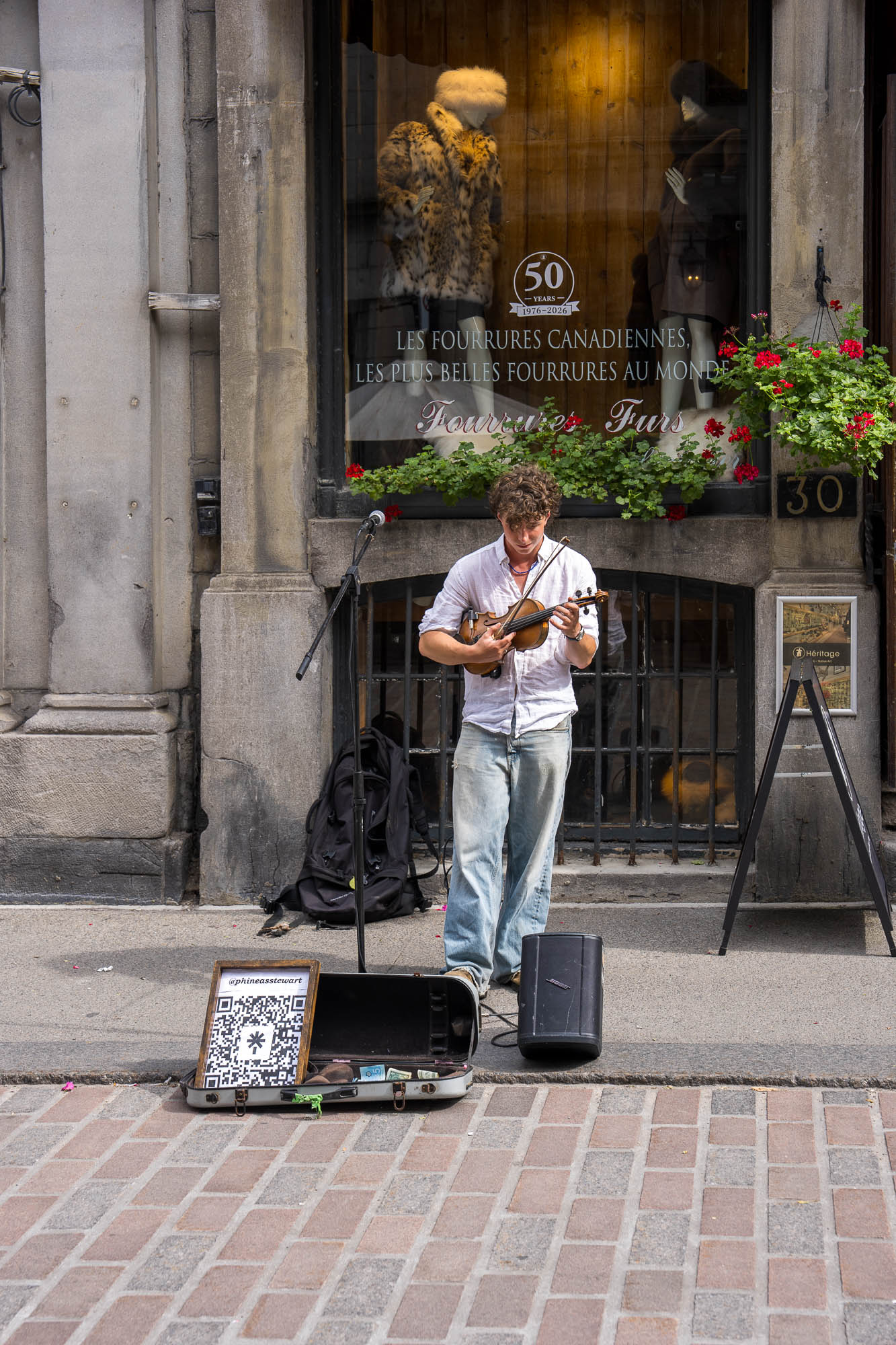 02_septembre_2026Quebec_20266660.jpg — Un jeune violoniste en chemise blanche joue devant la vitrine d'une boutique de fourrures du Vieux-Montréal, étui ouvert et écriteau à QR code posés sur le trottoir.