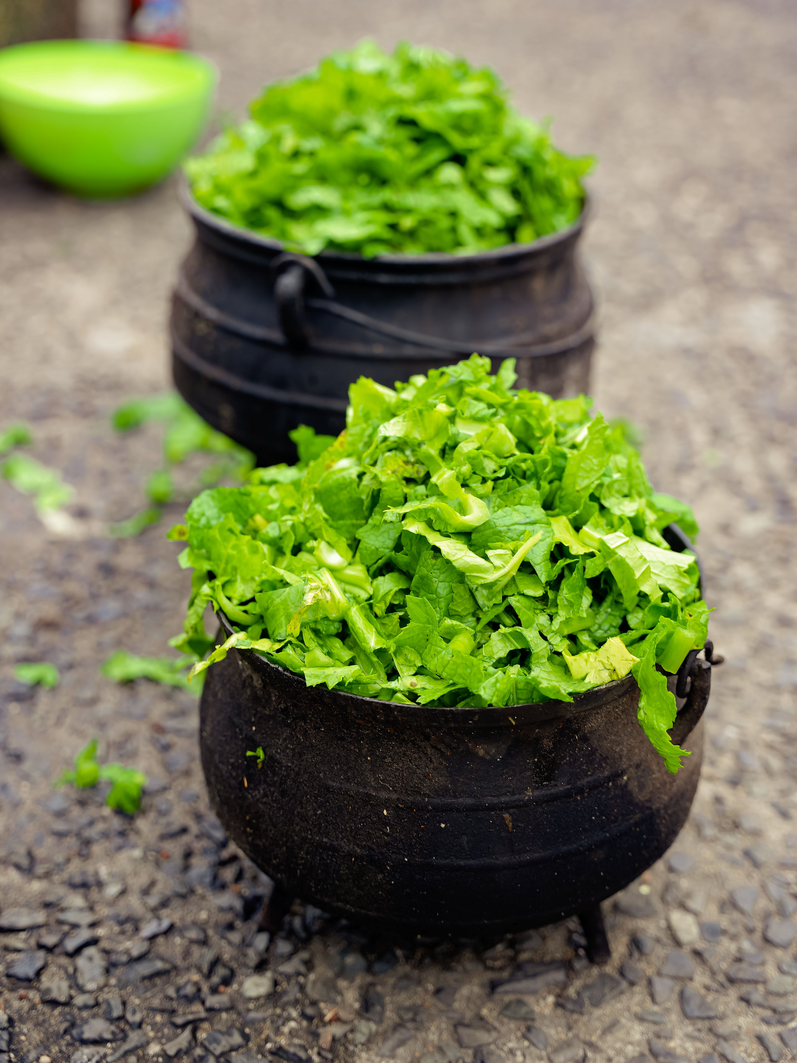 Zwibodo Celebrates Culture Through Food – Taste the Tradition