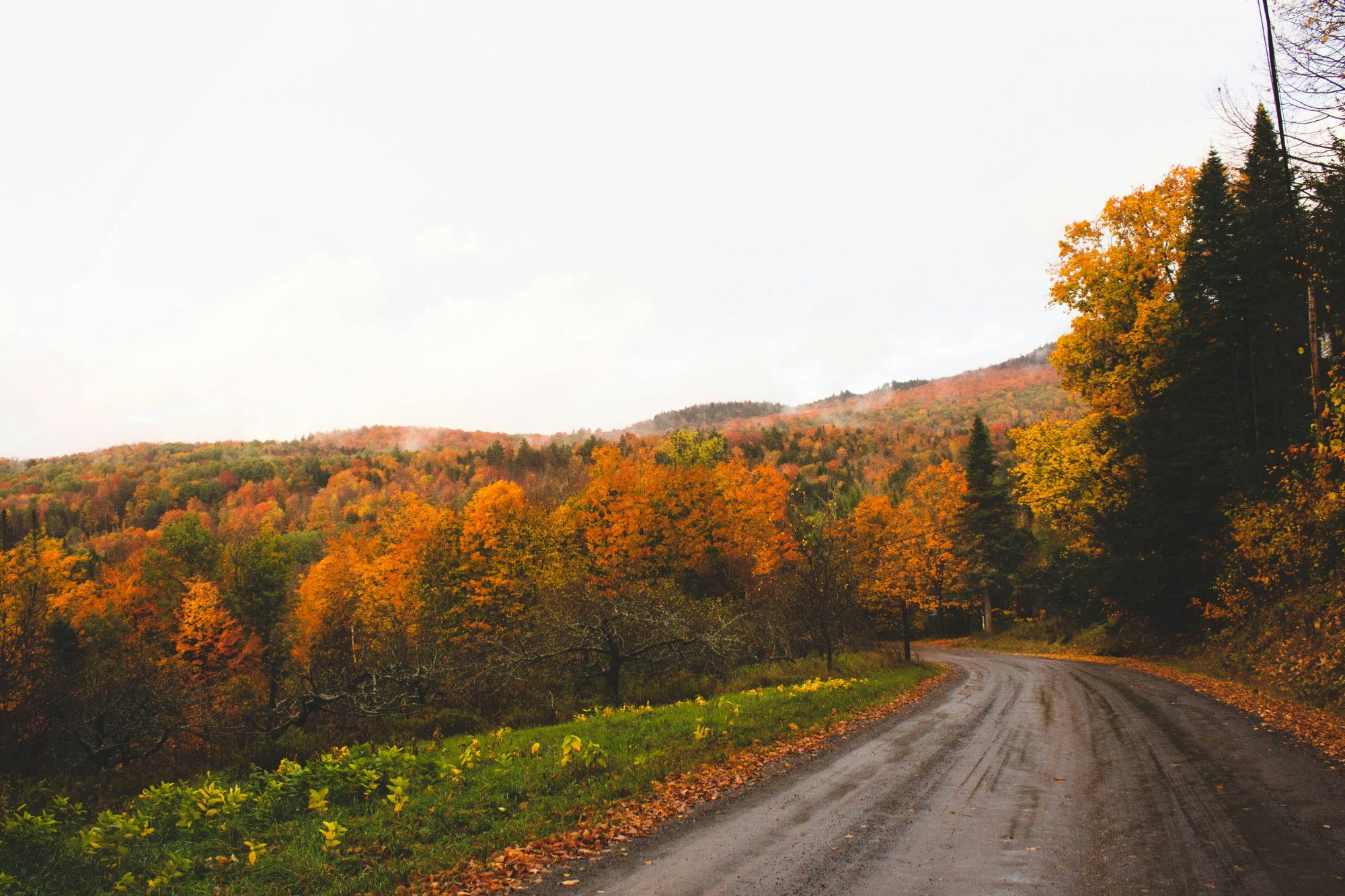 A winding road surrounded by vibrant autumn trees under a soft, glowing sky.
