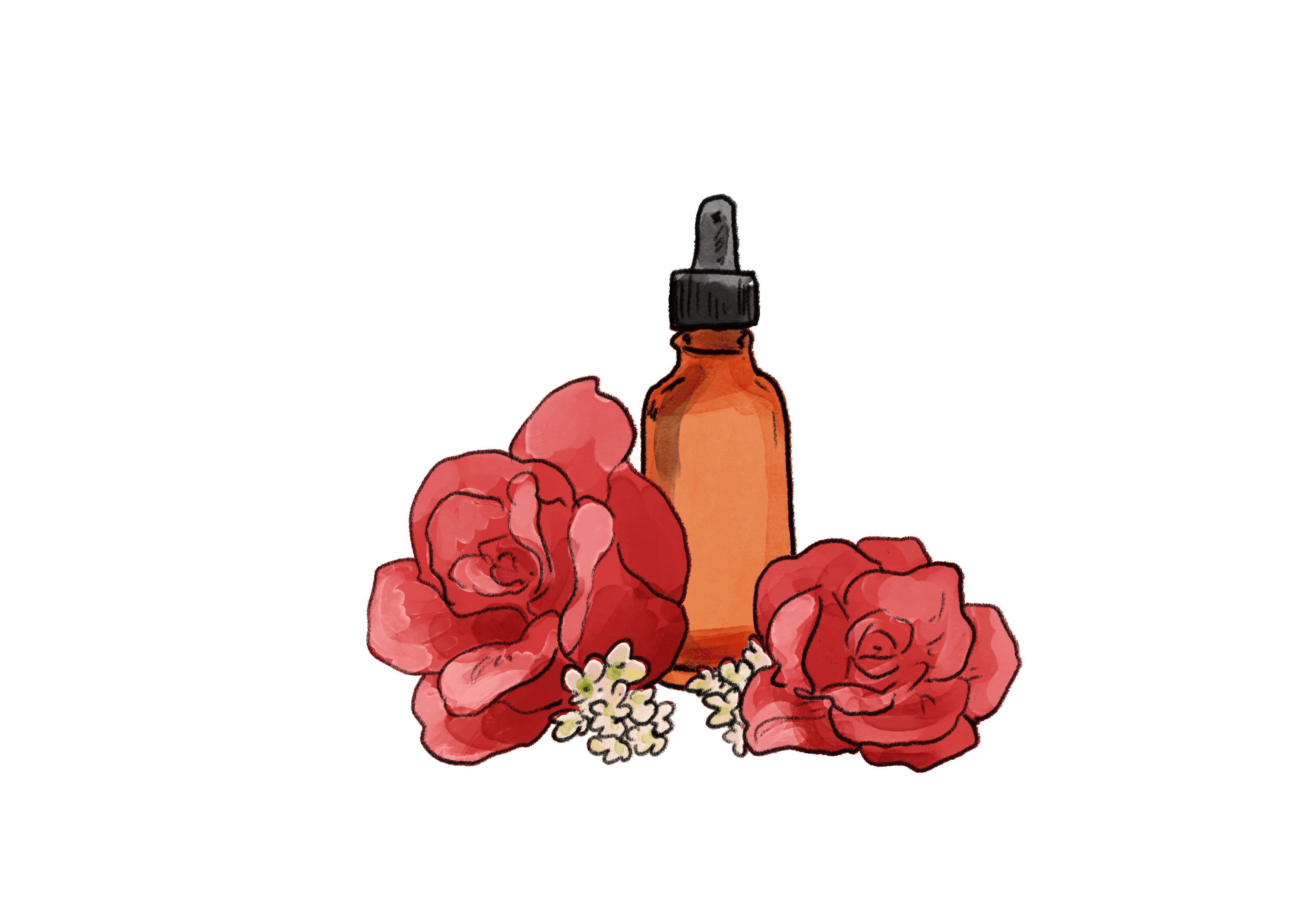 An illustration of a brown glass bottle with a dropped lid. There are red rose-type flowers and smaller white flowers placed around the bottle.