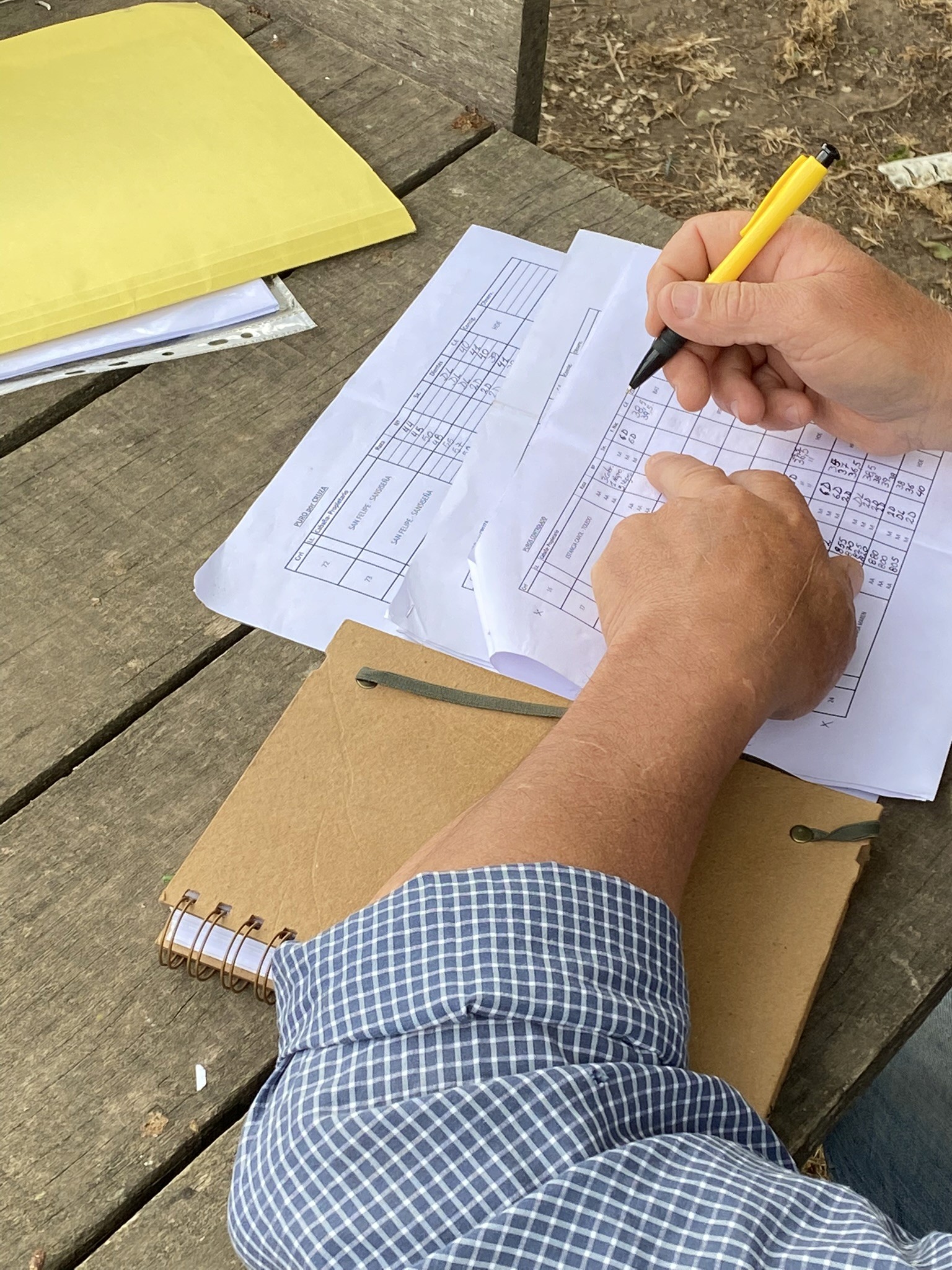 Documentos