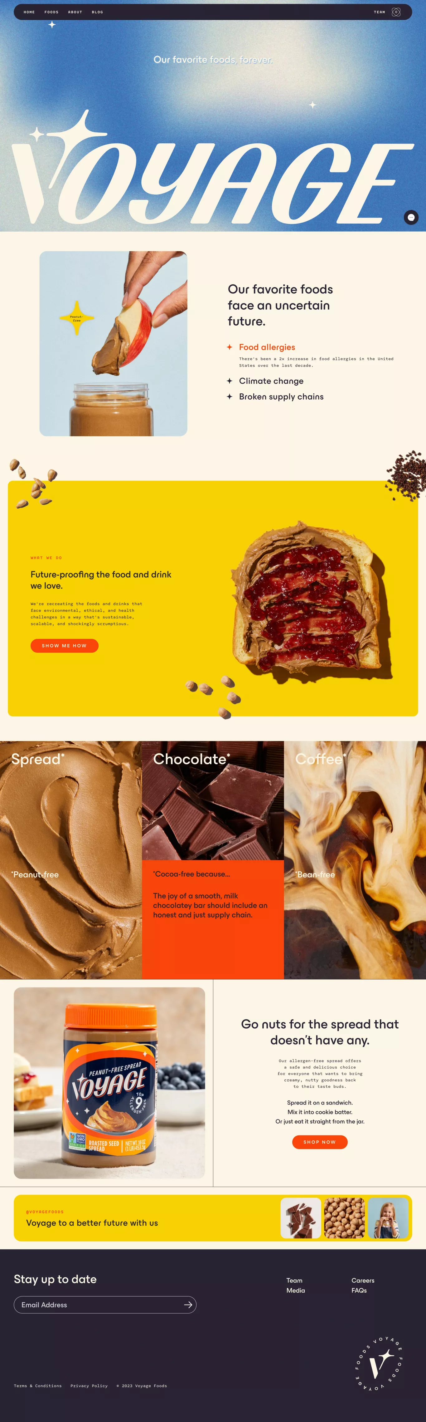 Voyage Foods landing page screenshot showcasing Food & Drinks and Ecommerce design
