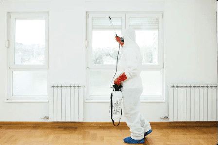 Breathe Easy: How to Detect and Prevent Mold in Your Home!