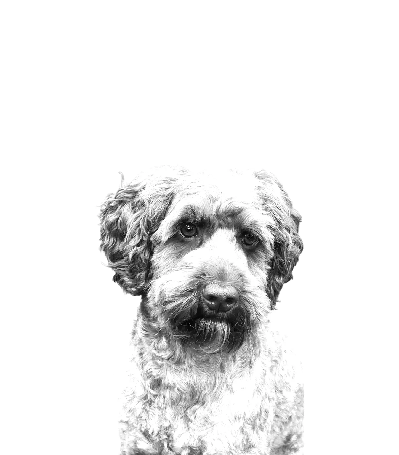 Henkilöstö - Maiju 2