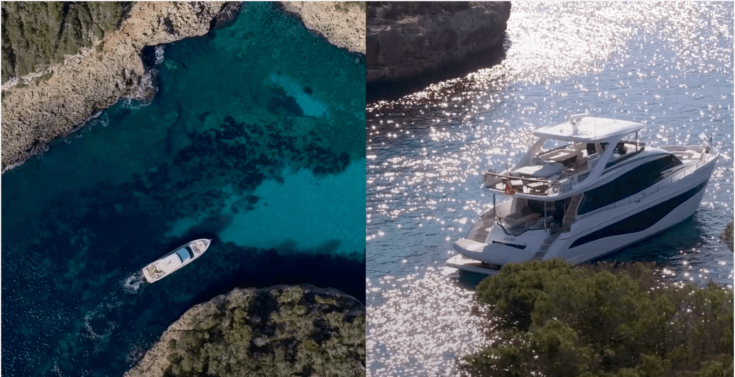 Close-up of a dark green leaf showing its textured surface and central vein against a muted background.