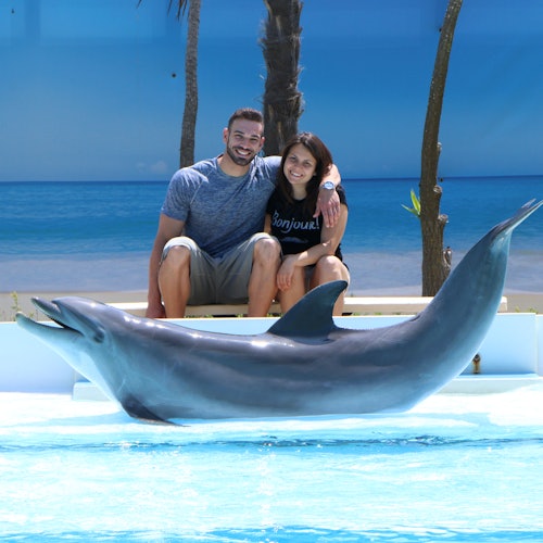 一名男子和一名女子露出微笑,坐在长椅上互相搂着,与旁边泳池中海豚的海滩背景相映成趣。