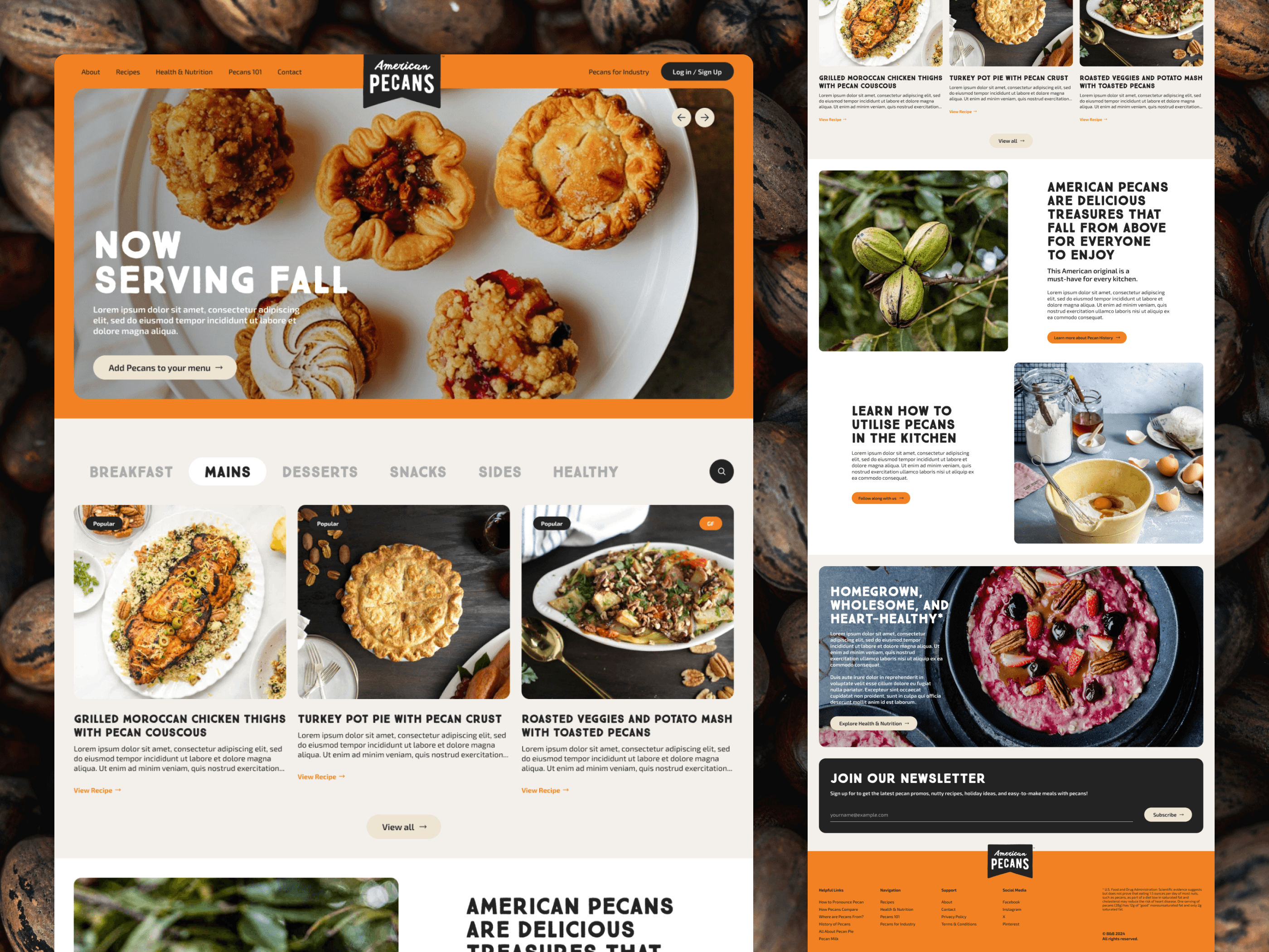 Homepage concept design for American Pecans, depicting recipes and history of the nut