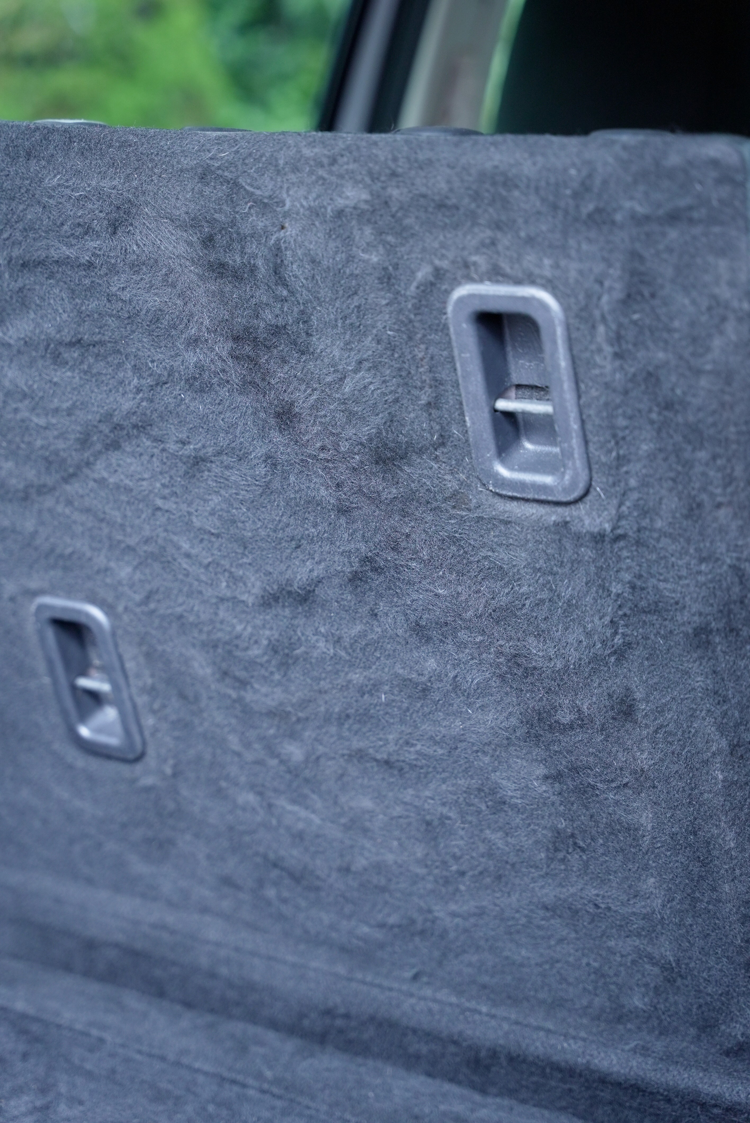 Toronto fur free pet hair trunk cleaning service