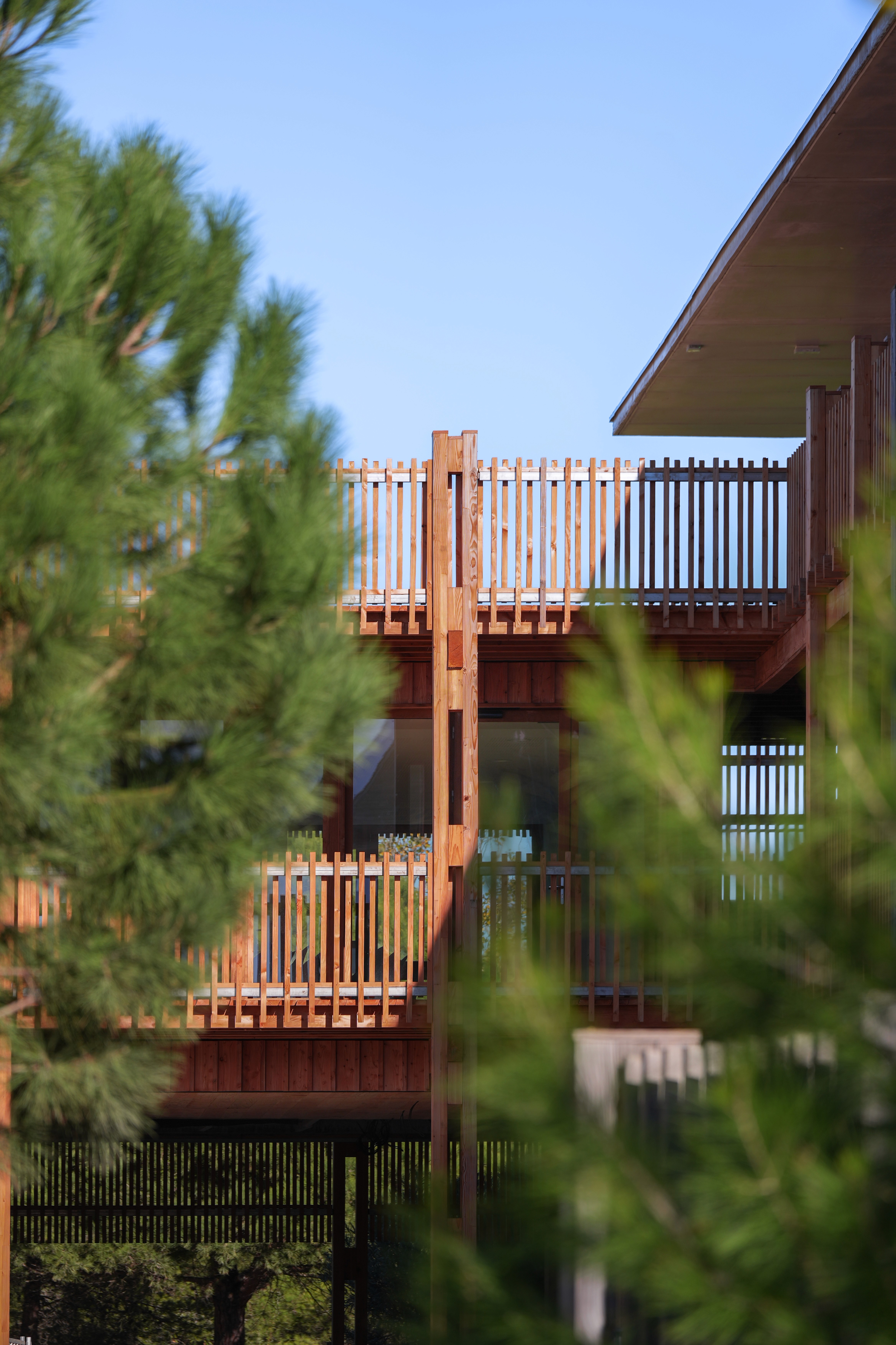 École du Grau du Roi