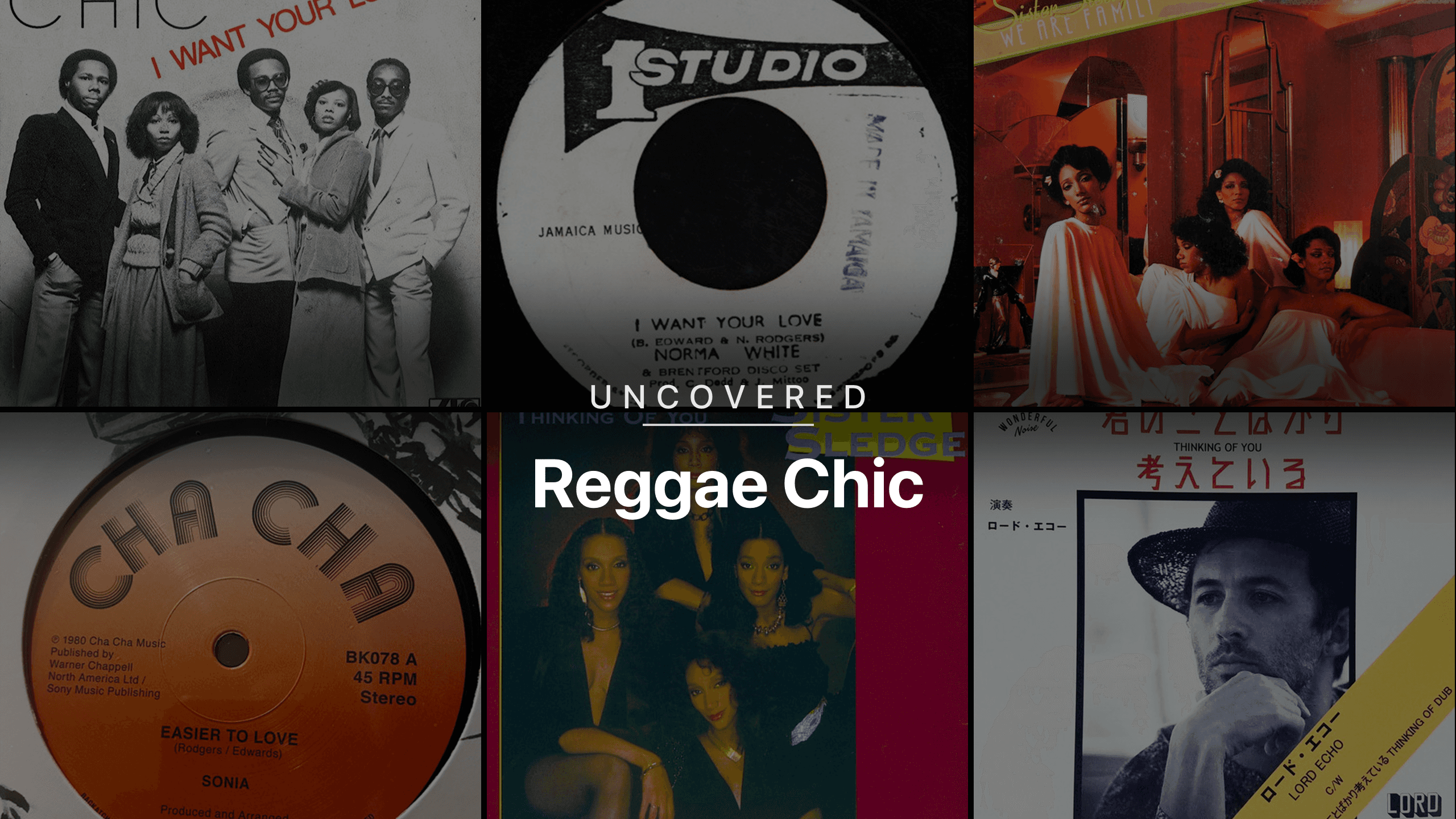 Uncovered: Reggae Chic | Boogie Down Reductions