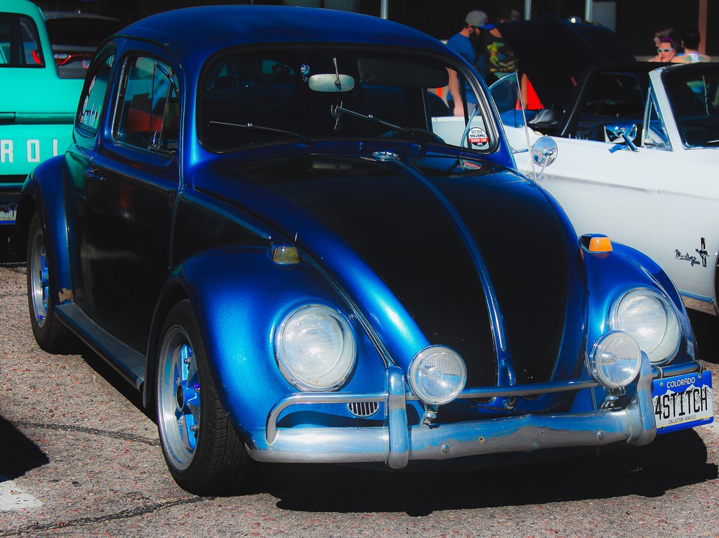 Album Photo Real Mehedi Free Framer Template Photography