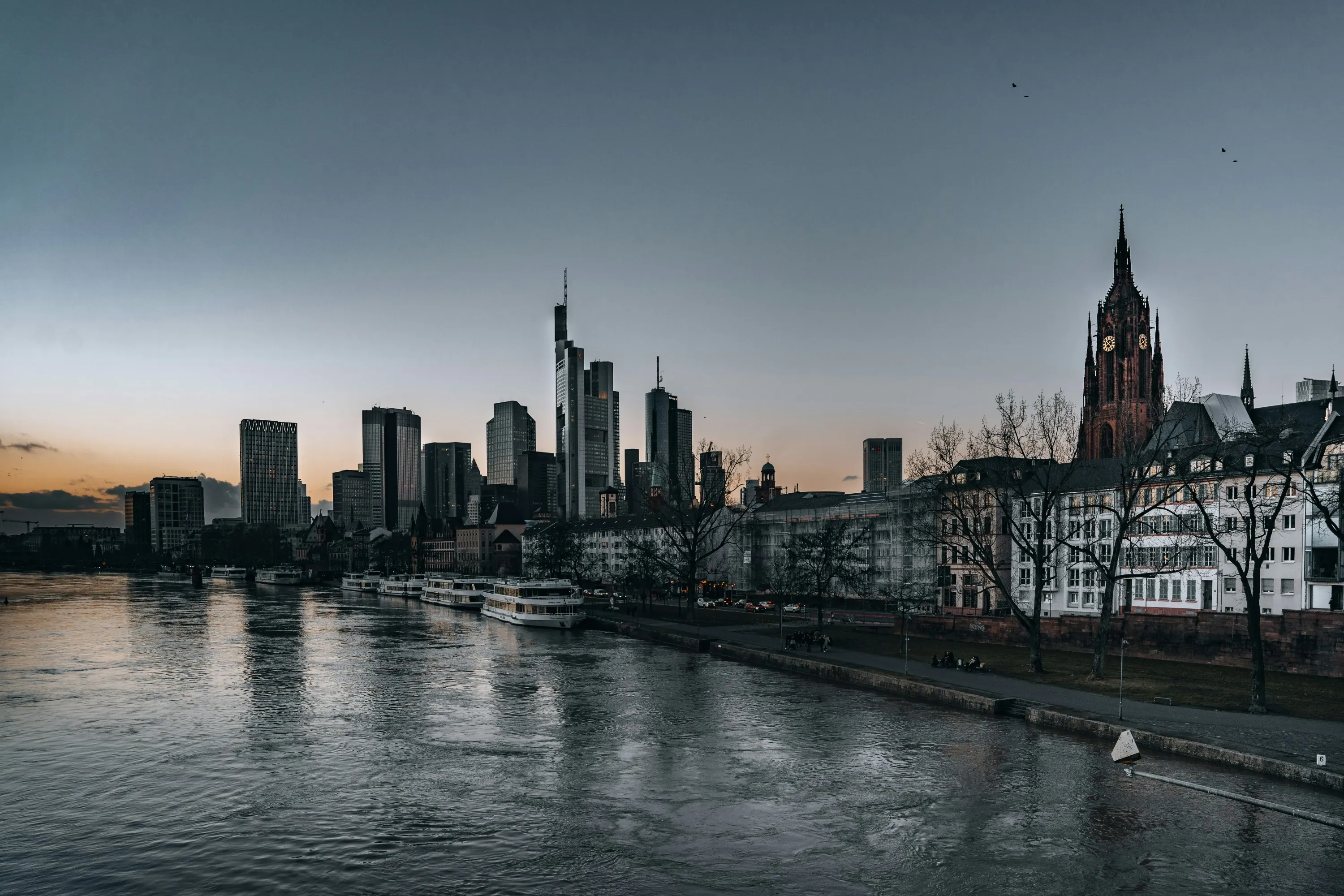 Der Main und die Frankfurter Skyline im Hintergrund
