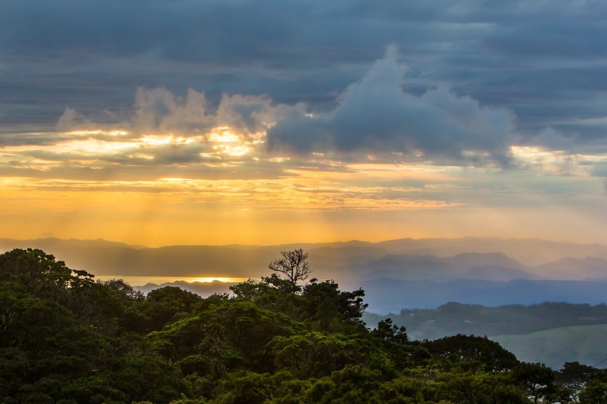 Monteverde cloud forest, Costa Rica