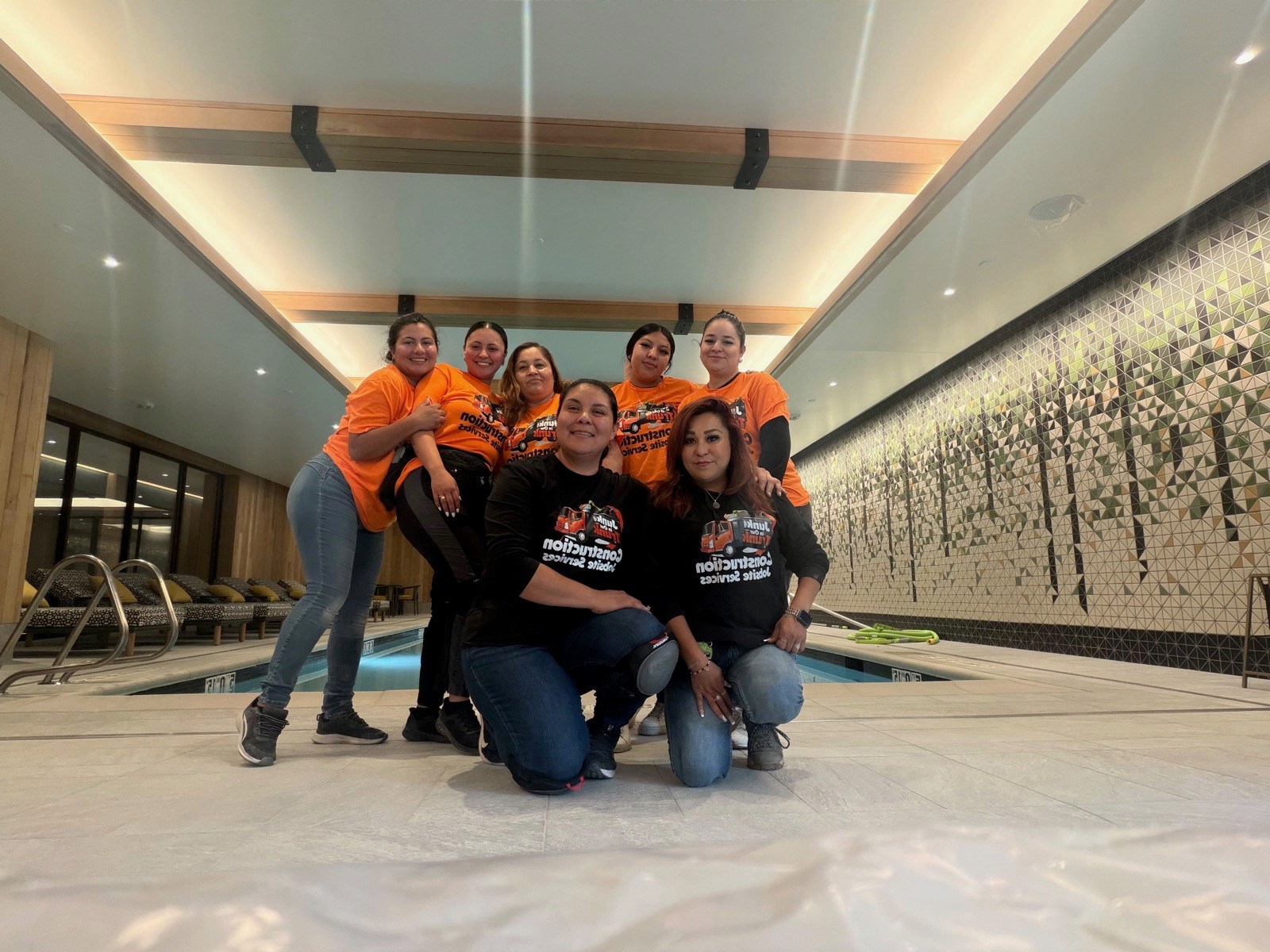Interior Cleaners