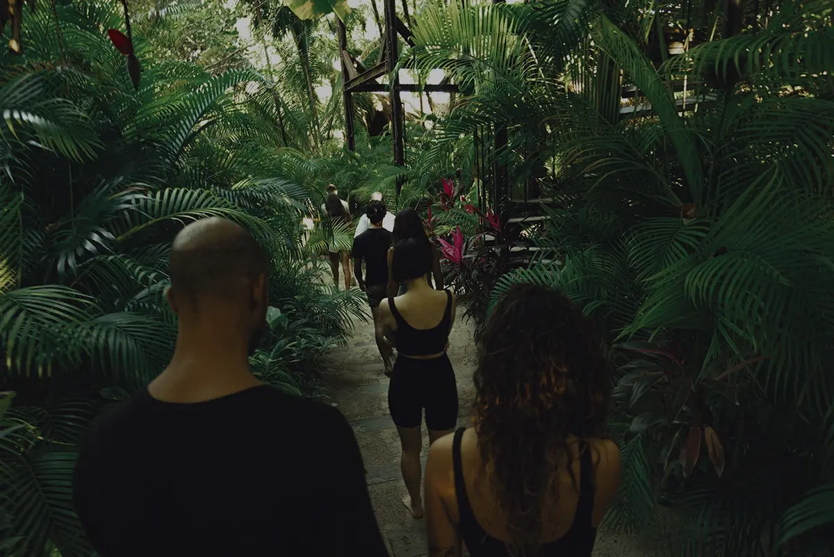 Group of people hiking through the lush jungle at Nomade Holbox in Holbox Mexico, with tall trees and green foliage surrounding them