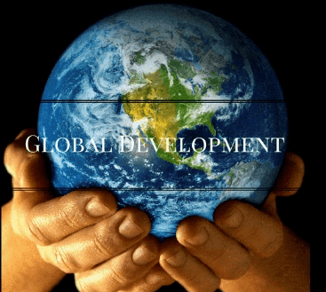 Close-up of lush, dark green leaves, some glossy and wet, against a muted background.