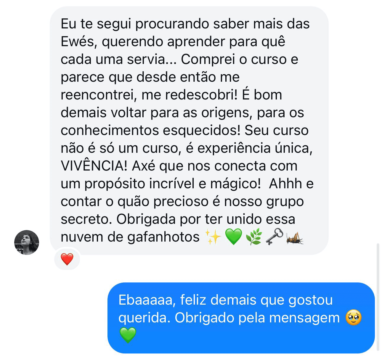 Eu te segui procurando saber mais das Ewés, querendo aprender para quê cada uma servia... Comprei o curso e parece que desde então me reencontrei, me redescobri! É bom demais voltar para as origens, para os conhecimentos esquecidos! Seu curso não é só um curso, é experiência única, VIVÊNCIA! Axé que nos conecta com um propósito incrível e mágico! Ah, e te contar o quão precioso é nosso grupo secreto. Obrigada por ter unido essa nuvem de gafanhotos!